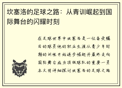 坎塞洛的足球之路：从青训崛起到国际舞台的闪耀时刻