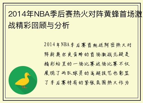 2014年NBA季后赛热火对阵黄蜂首场激战精彩回顾与分析